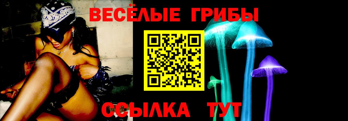 Галлюциногенные грибы GOLDEN TEACHER Губкин