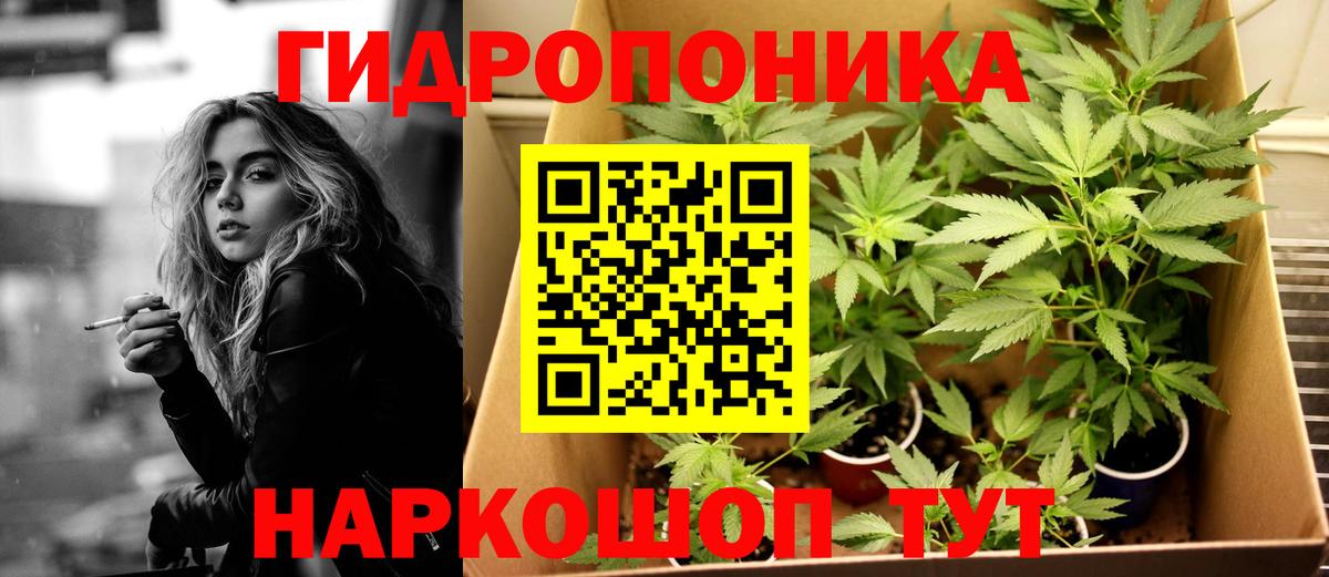 Конопля семена Губкин